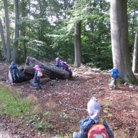 HofkinderVeerssen_Kids spielen im Wald